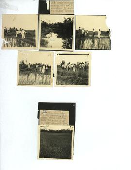 Arsip Visual thn 1950an Djawatan Penerangan Aceh Barat, Wakil Kepala Djawatan Penerangan Aceh Bar...
