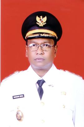 Drs. Busmadar Ismail Wakil Bupati Bireuen, 2012-2017